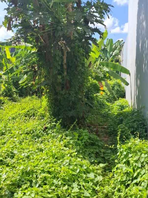 dijual tanah pegending padonan