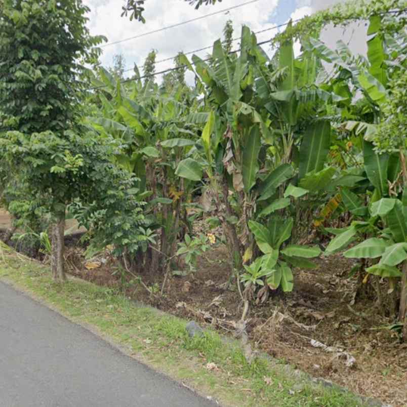 dijual tanah pegending padonan