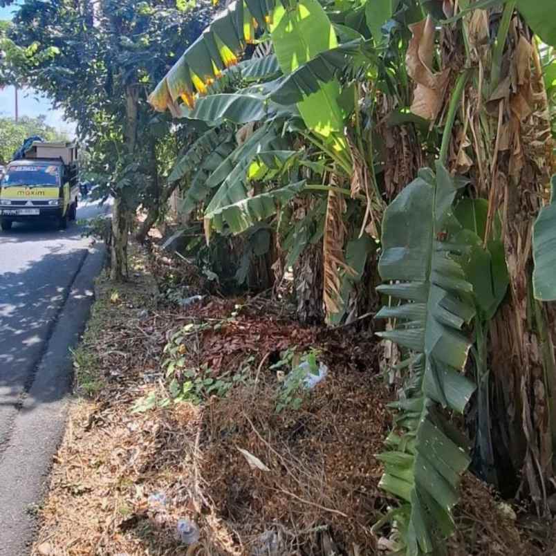 dijual tanah pegending padonan