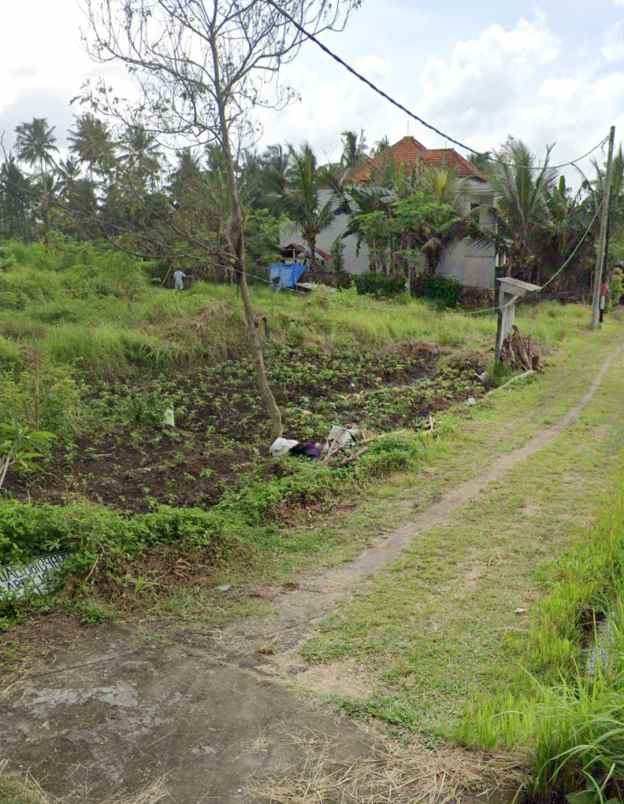 dijual tanah pejeng gianyar bali