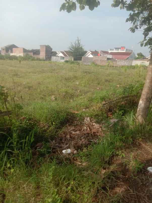 dijual tanah pekarangan siap bangun