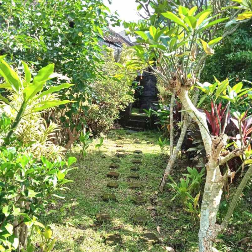 dijual tanah pemecutan kaja