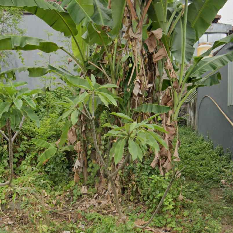 dijual tanah perum genta sari