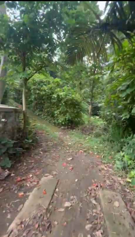 dijual tanah rainbow hills golf club