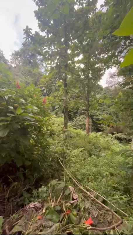 dijual tanah rainbow hills golf club