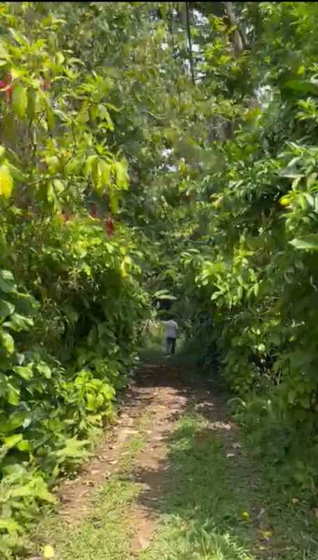 dijual tanah rainbow hills golf club