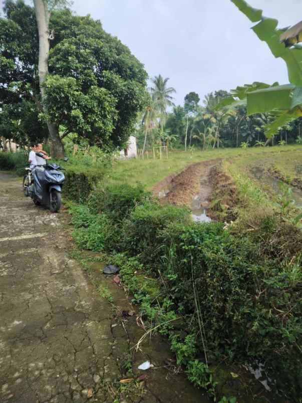 dijual tanah sawah kering dekat pemukiman bawen