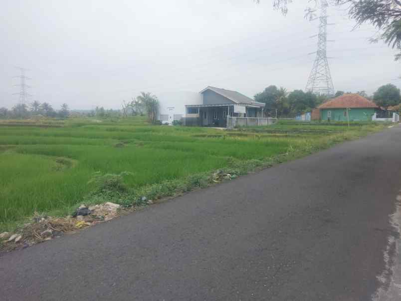 dijual tanah sawah pinggir jl view bagus