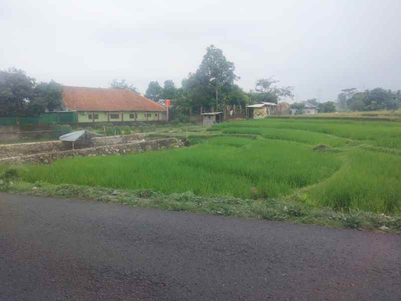 dijual tanah sawah pinggir jl view bagus