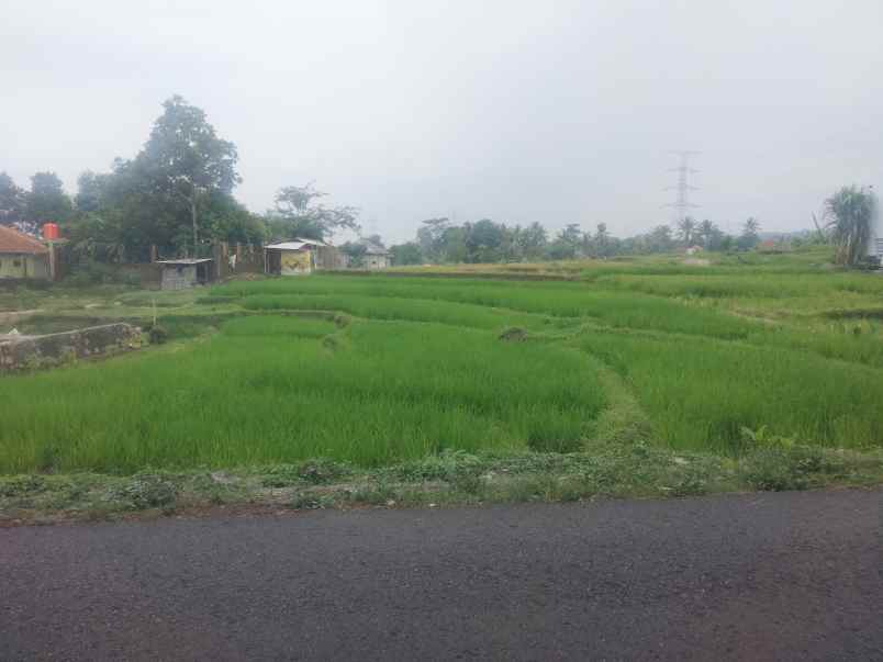 dijual tanah sawah pinggir jl view bagus