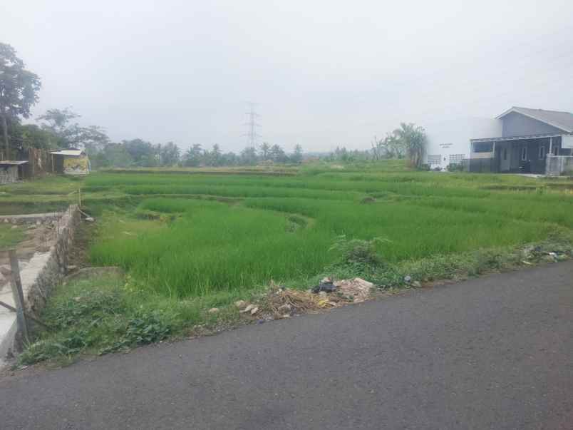 dijual tanah sawah pinggir jl view bagus