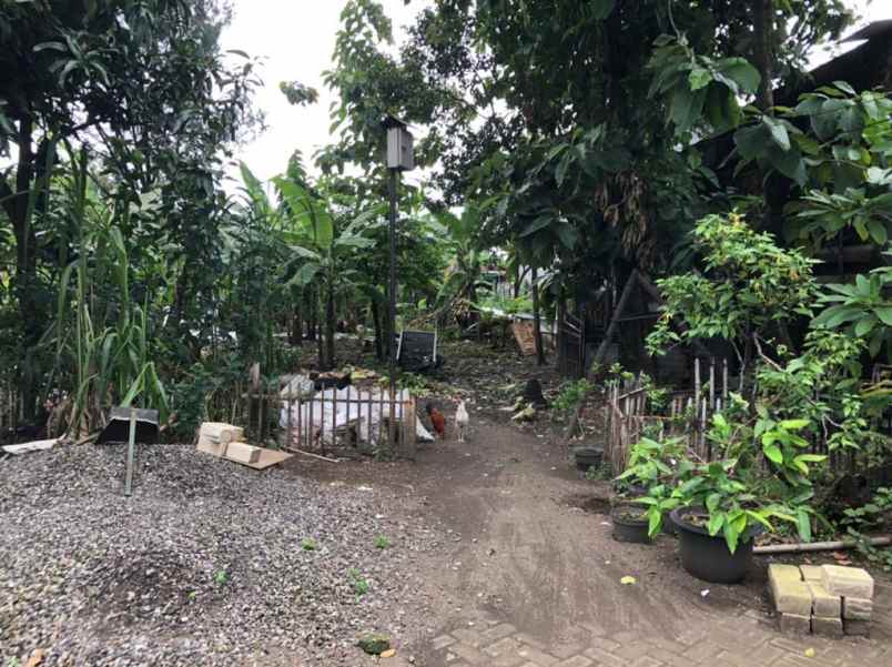 dijual tanah semambung juanda