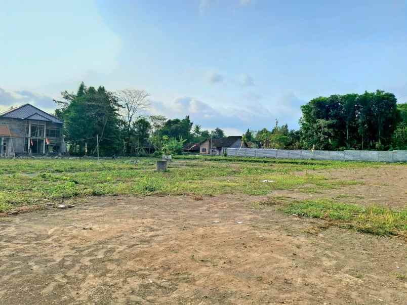 dijual tanah shm pekarangan 2 jt m barat ibarbo park