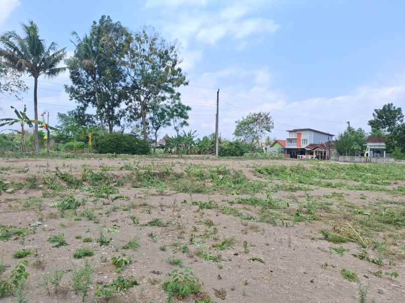 dijual tanah shm pekarangan 2 jt m barat ibarbo park