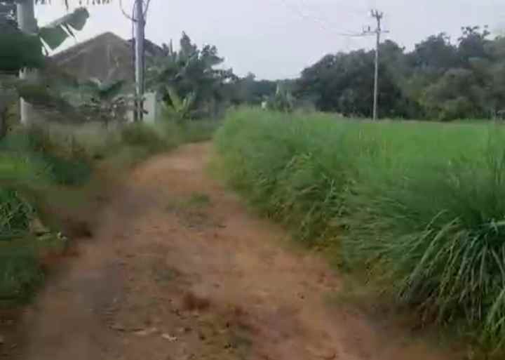 dijual tanah strategispinggir jalan kabupaten