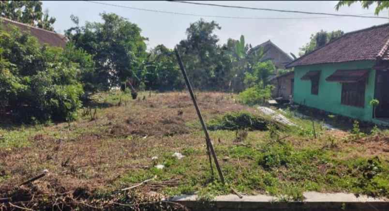 dijual tanah sukomoro