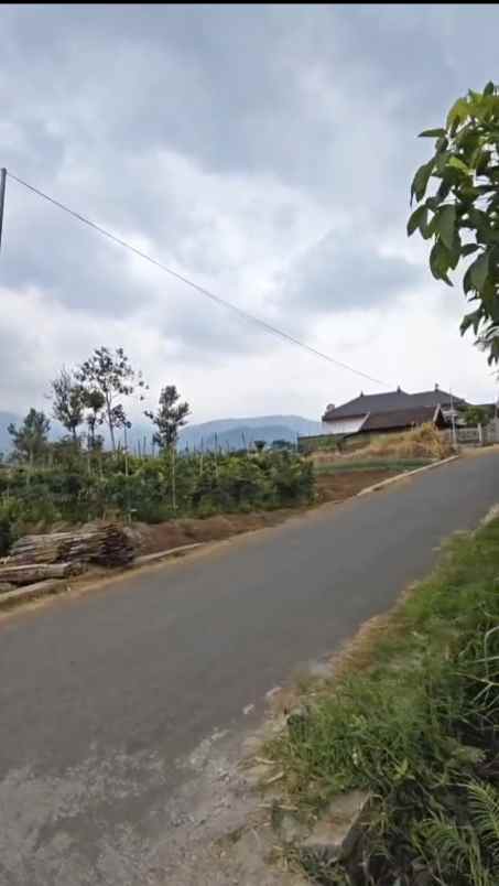 dijual tanah sumberejo