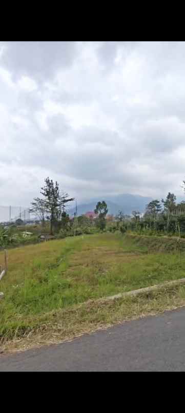 dijual tanah sumberejo