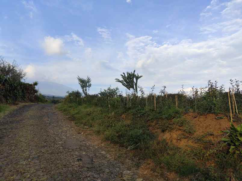 dijual tanah sumbergondo