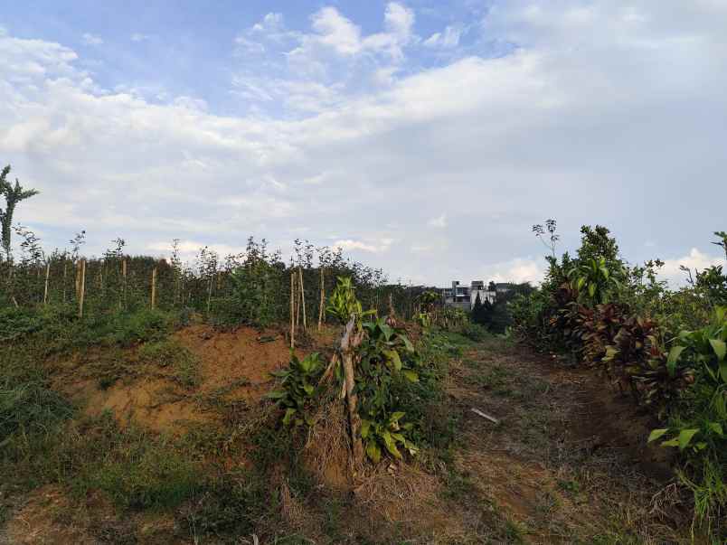 dijual tanah sumbergondo