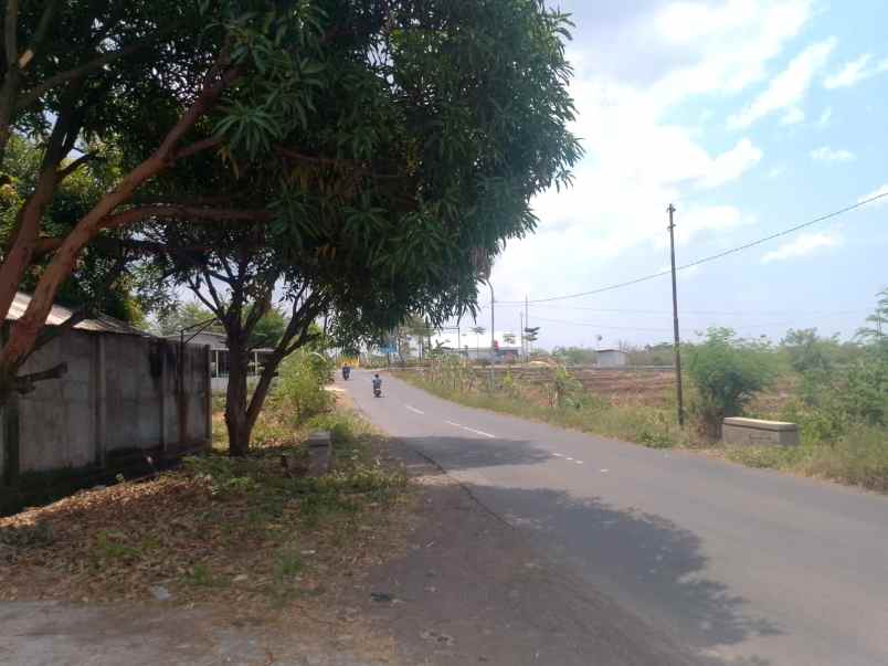 dijual tanah talun kabupaten cirebon