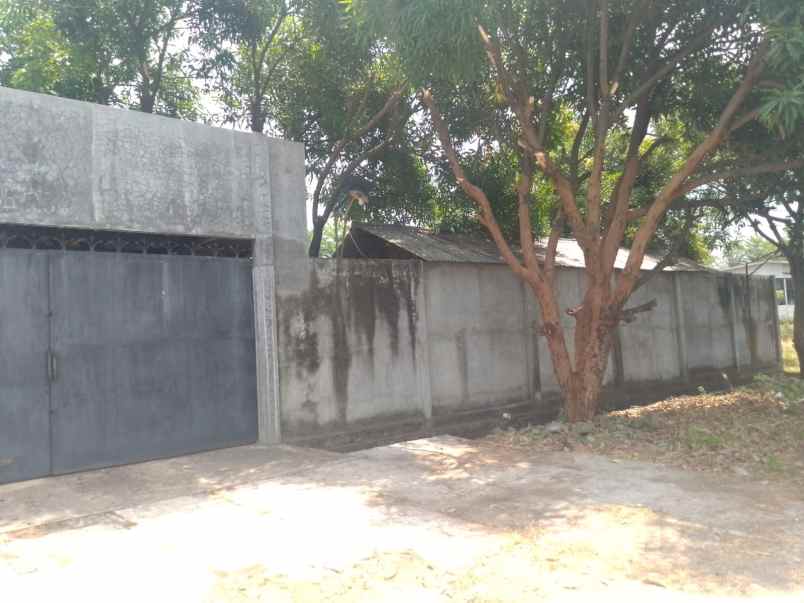 dijual tanah talun kabupaten cirebon