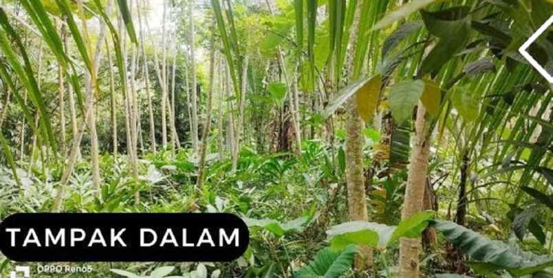 dijual tanah tampingan kec tegalrejo