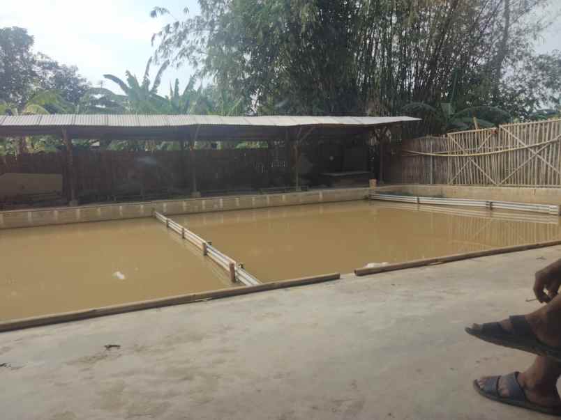 dijual tanah tarikolot kec pancalang