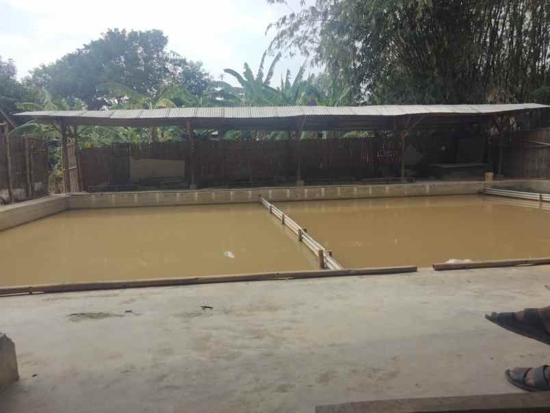 dijual tanah tarikolot kec pancalang