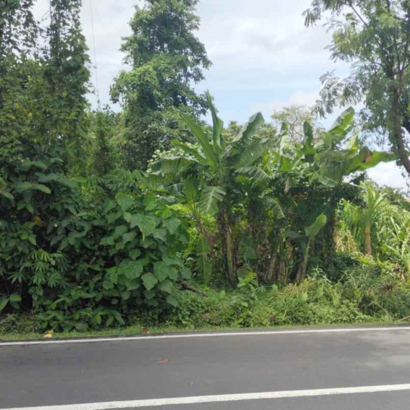 dijual tanah tumbak bayuh