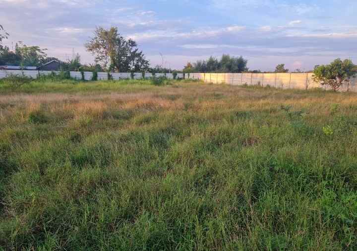 disewakan tanah gudang medan estate