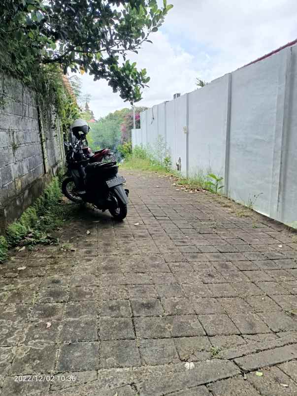 disewakan tanah tumbak bayuh badunh bali