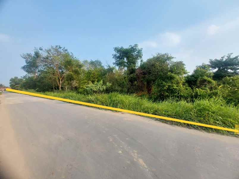 jual cepat tanah sukarami palembang shm