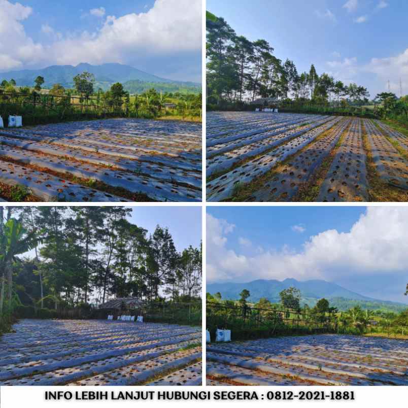 jual kavling murah di lembang