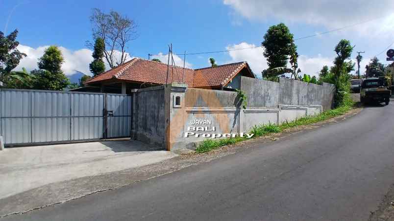 jual tanah 2780m2 bonus rumah di baturiti bedugul