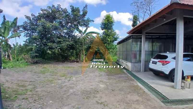 jual tanah 2780m2 bonus rumah di baturiti bedugul