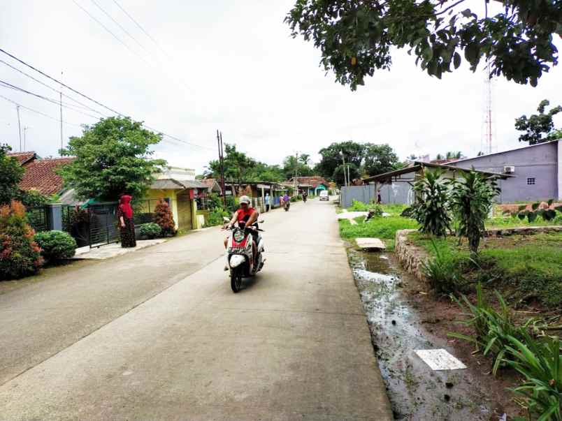 jual tanah kavling murah 150 m2 di tenjo bogor