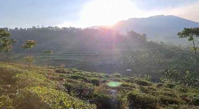 jual tanah lakeside view danau dan gunung di bandung