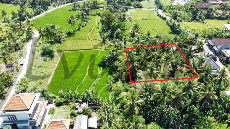 kontrak tanah view sawah dan sungai ubud