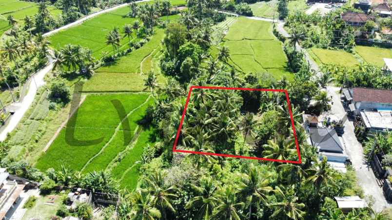 kontrak tanah view sawah dan sungai ubud