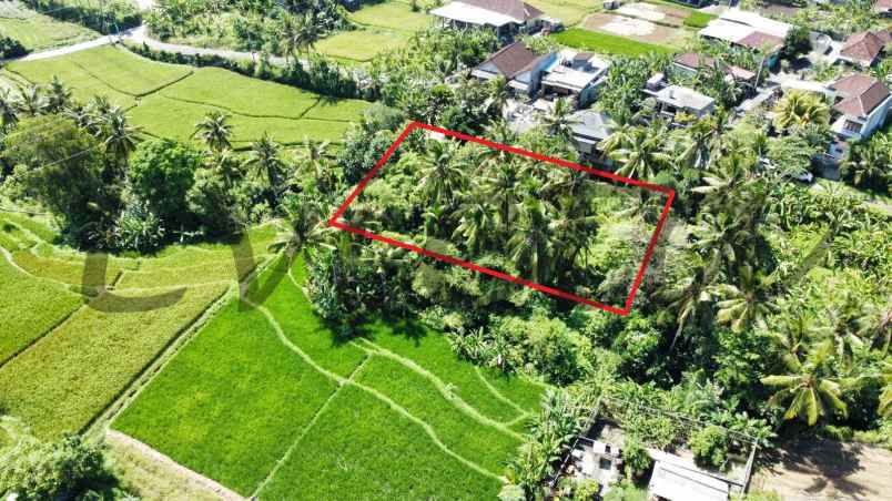 kontrak tanah view sawah dan sungai ubud