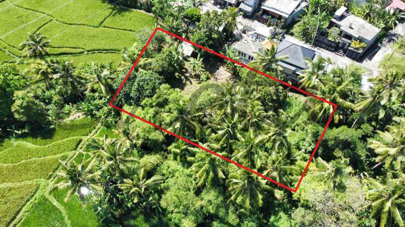 kontrak tanah view sawah dan sungai ubud