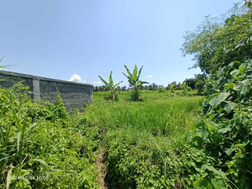 land for leasehold in tebongkang ubud near pepito