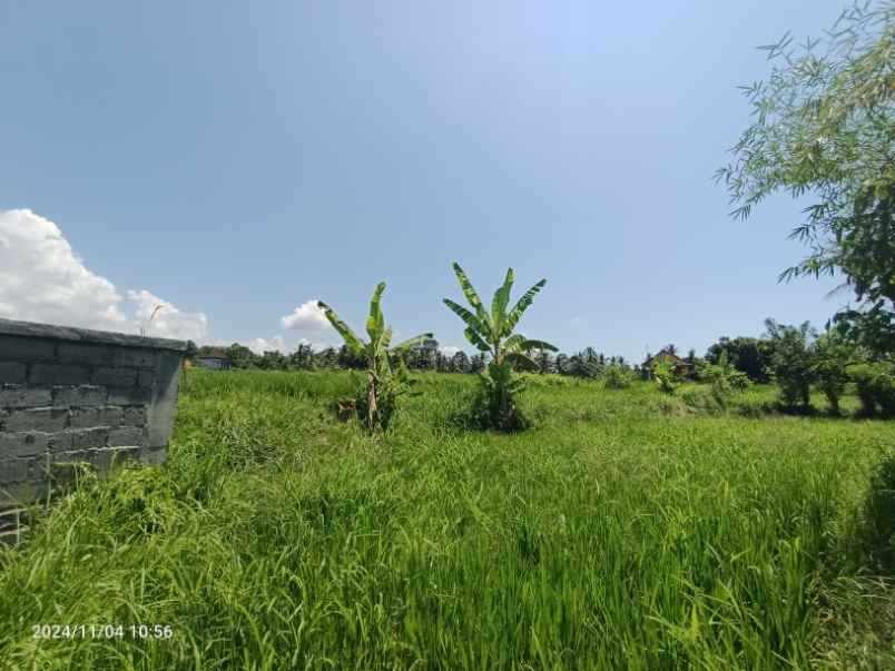 land for leasehold in tebongkang ubud near pepito