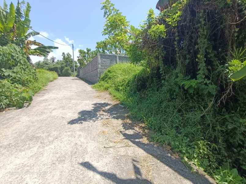 land for leasehold in tebongkang ubud near pepito