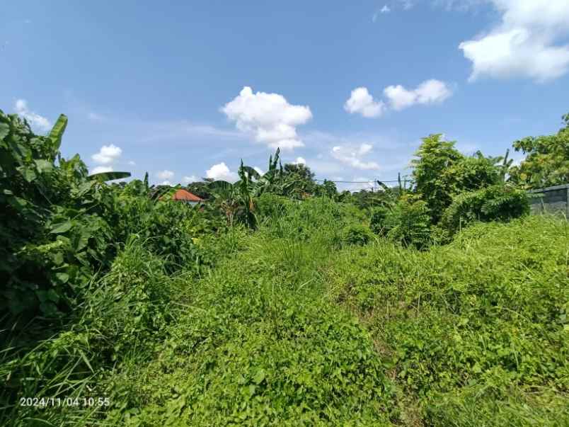 land for leasehold in tebongkang ubud near pepito