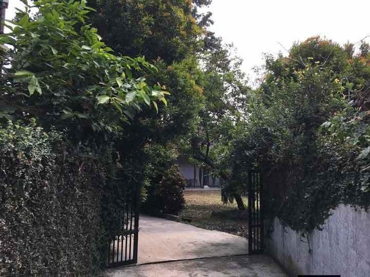 rumah asri luas di parung bogor belakang pasar parung
