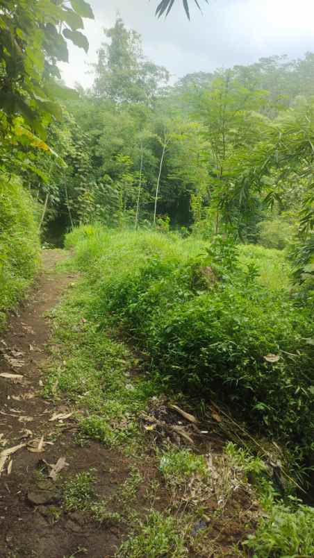 rumah bonus tanah luas dan strategis di sulfat