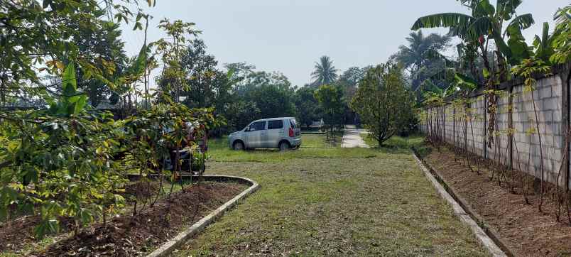 rumah kebun buah harga termurah bogor