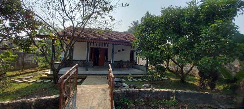 rumah kebun buah harga termurah bogor